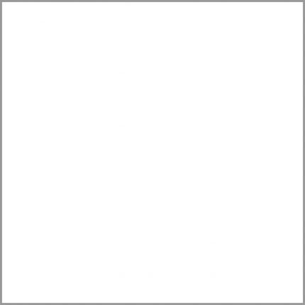 Multipanel White Shower Panel