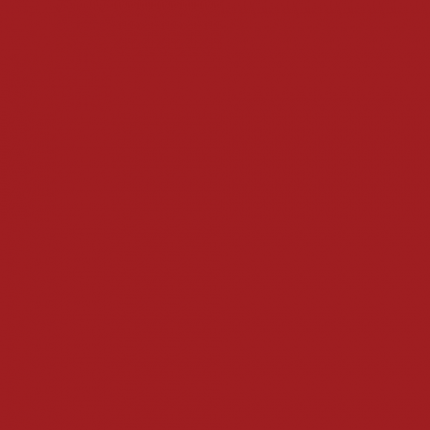 Wetwall Red Gloss Shower Panel (not in stock)